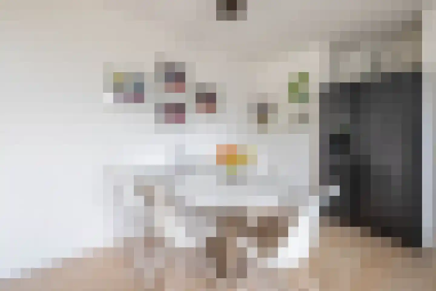 Vijverhofstraat 35 Venlo thumbnail 18