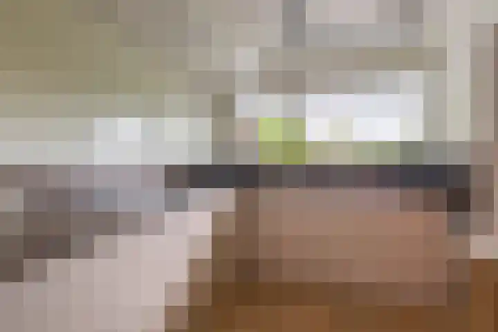 Vijverhofstraat 57 Venlo thumbnail 11