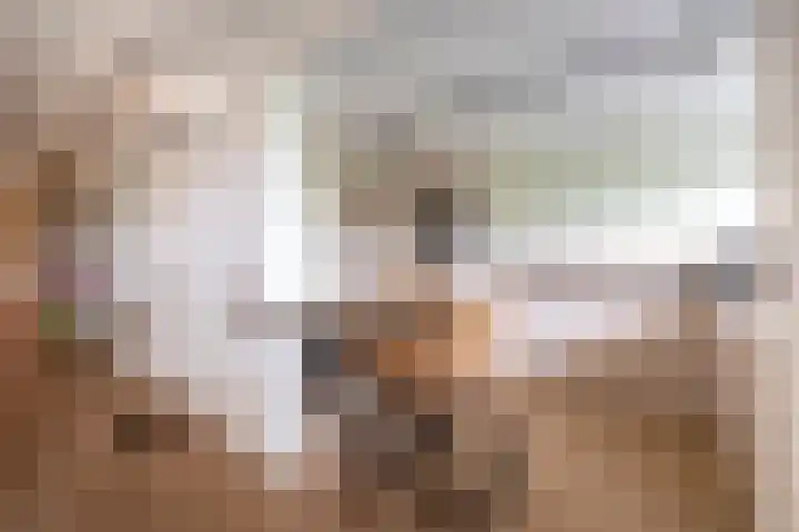 Vijverhofstraat 57 Venlo thumbnail 8