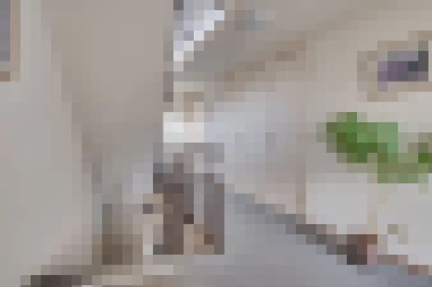 Vijverhofstraat 72 Venlo thumbnail 19