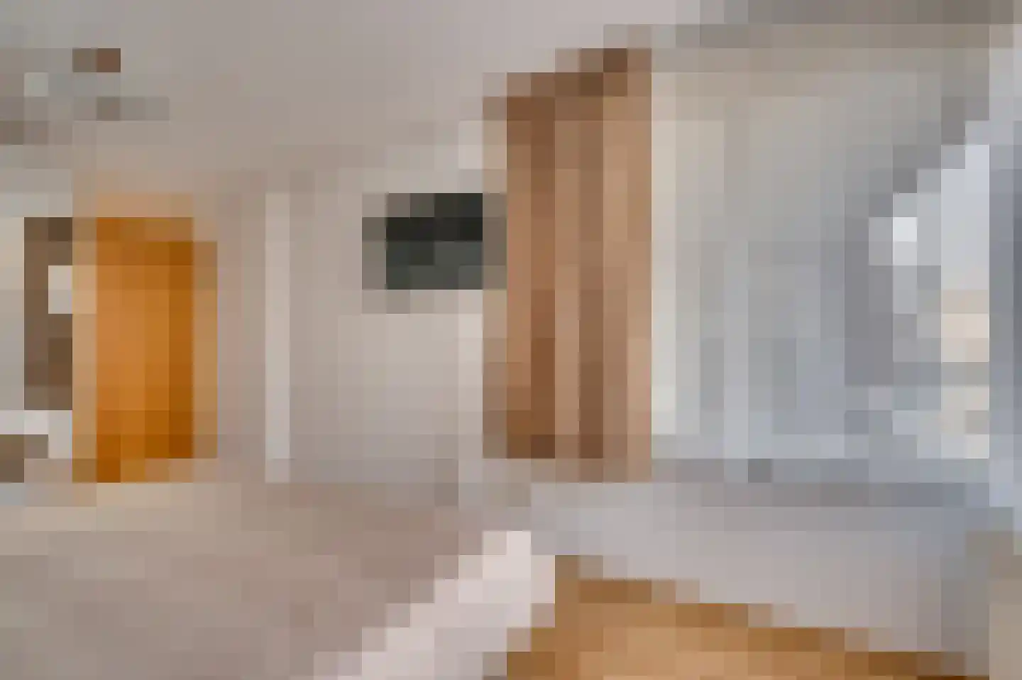 Vijverhofstraat 72 Venlo thumbnail 27