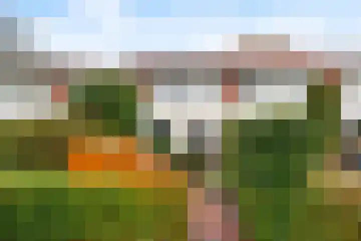 Vijverjufferhof 14 in Den Haag