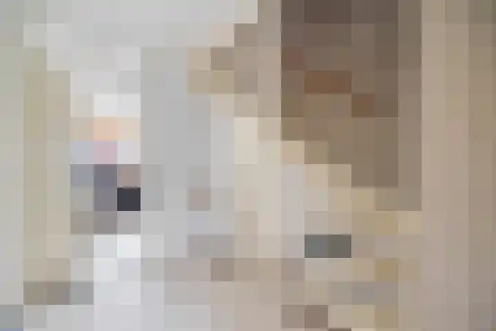 Vijverjufferhof 14 Den Haag thumbnail 23