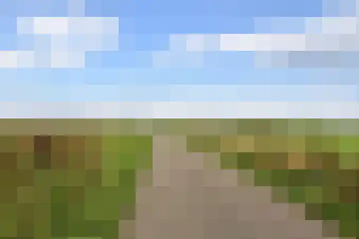 Vijverjufferhof 14 Den Haag thumbnail 39