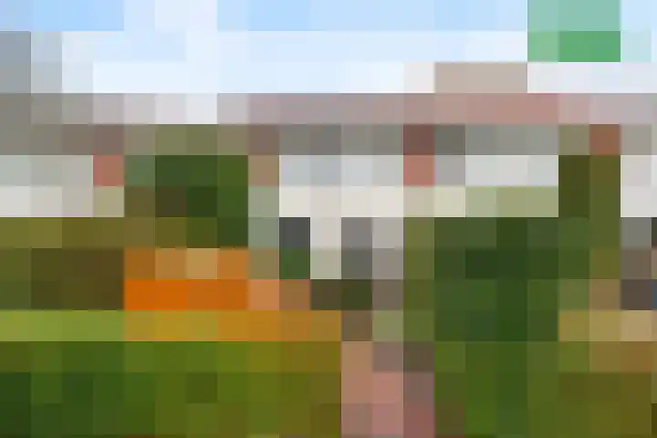 Vijverjufferhof 14 Den Haag thumbnail 7