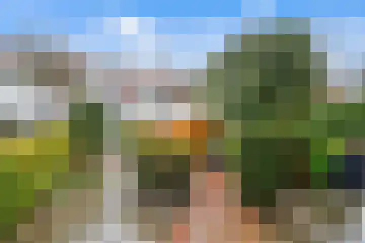 Vijverjufferhof 14 Den Haag thumbnail 9