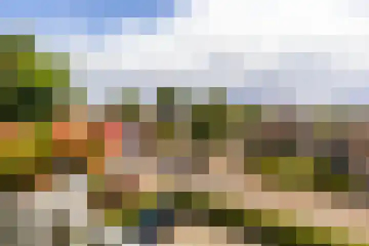 Vijverlaan 1 14 Arnhem thumbnail 13