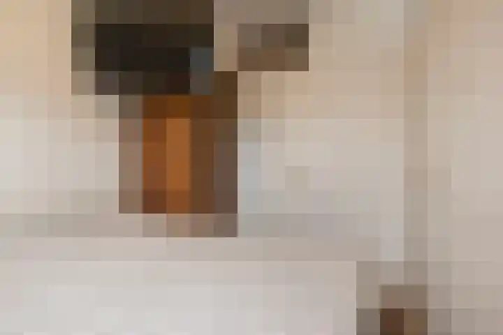 Vijverlaan 1 14 Arnhem thumbnail 15