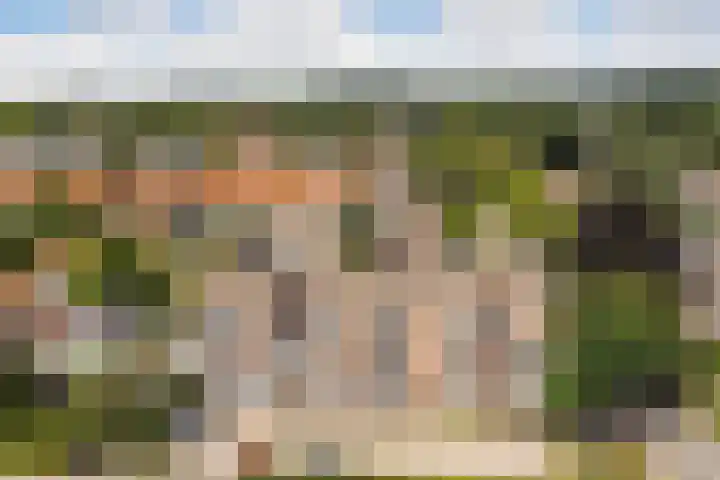 Vijverlaan 1 14 Arnhem thumbnail 26