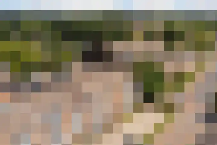 Vijverlaan 1 14 Arnhem thumbnail 27