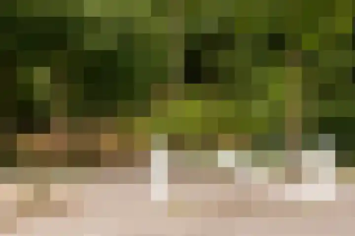Vijverlaan 1 14 Arnhem thumbnail 28