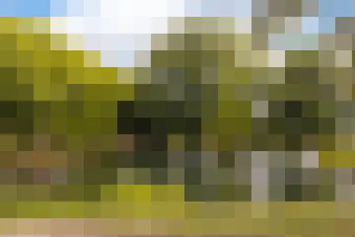 Vijverlaan 1 14 Arnhem thumbnail 29