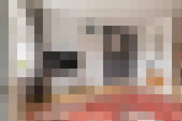 Vijverlaan 1 14 Arnhem thumbnail 6