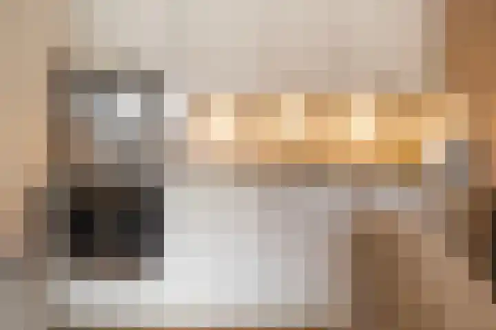 Vijverlaan 1 14 Arnhem thumbnail 8