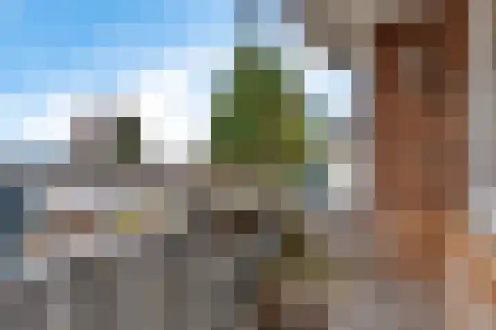 Vijverlaan 1 19 Arnhem thumbnail 10