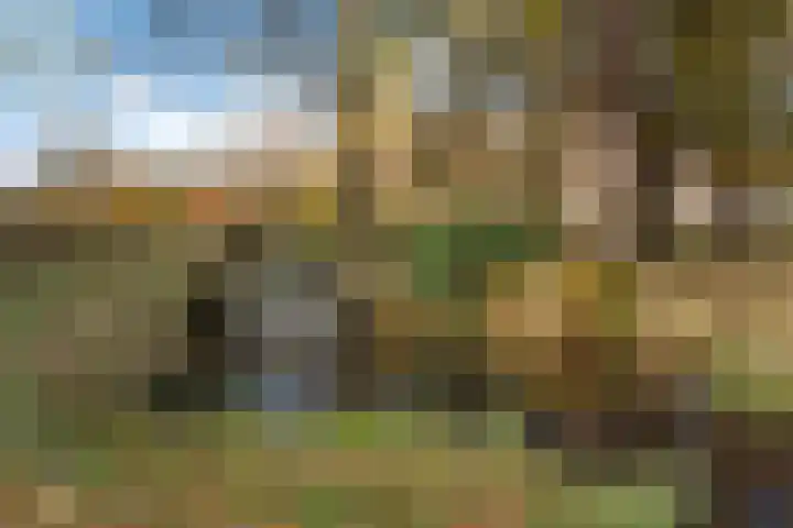 Vijverlaan 1 19 Arnhem thumbnail 25