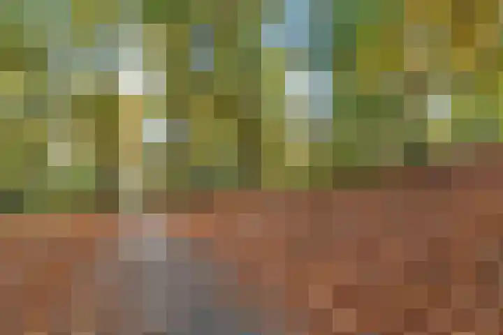 Vijverlaan 1 19 Arnhem thumbnail 26