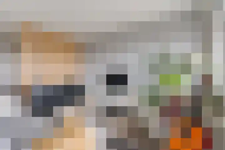 Vijverlaan 1 22 Arnhem thumbnail 12