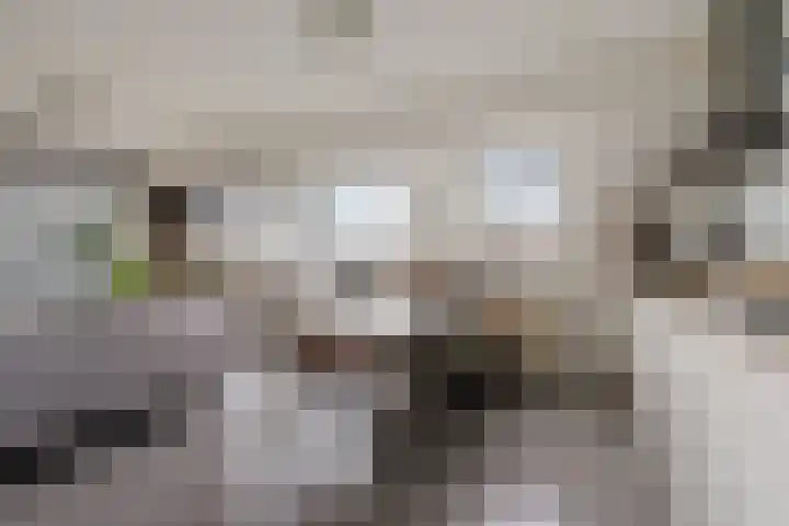 Vijverlaan 1 22 Arnhem thumbnail 18