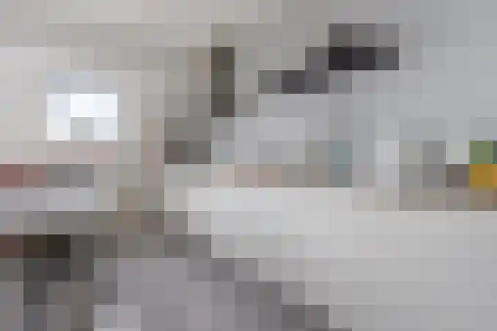 Vijverlaan 1 22 Arnhem thumbnail 19