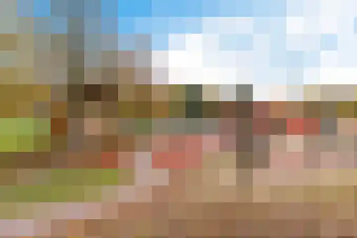 Vijverlaan 1 22 Arnhem thumbnail 34