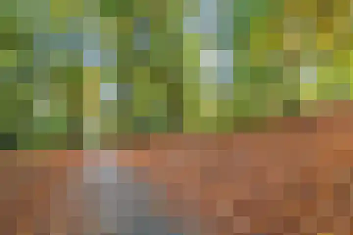 Vijverlaan 1 22 Arnhem thumbnail 37