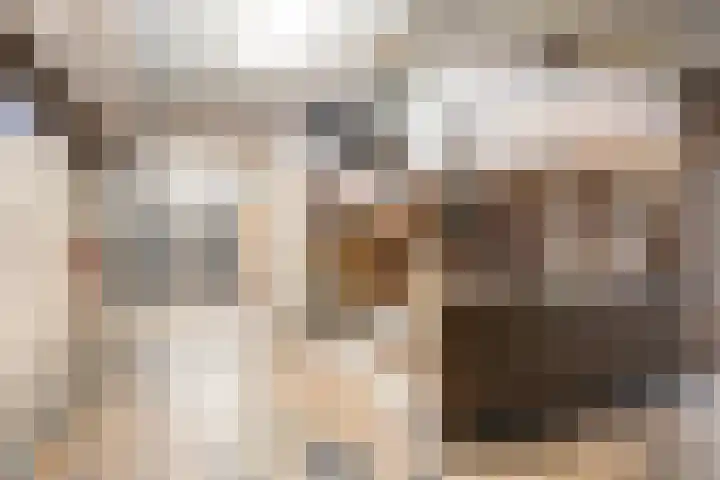 Vijverlaan 1 6 Arnhem thumbnail 8