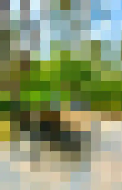 Vijverlaan 1 A Otterlo thumbnail 13