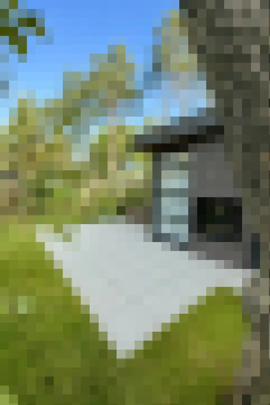 Vijverlaan 1 A Otterlo thumbnail 4