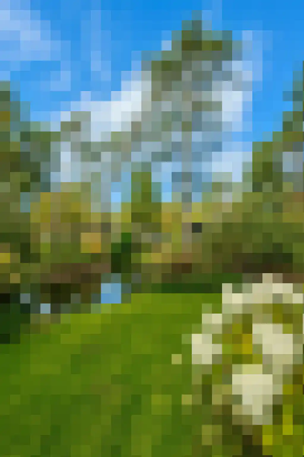 Vijverlaan 1 A Otterlo thumbnail 5