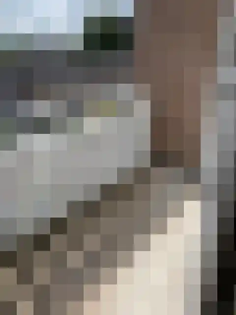 Vijverlaan 1 Arnhem thumbnail 4
