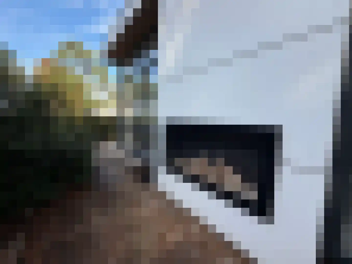 Vijverlaan 1 B10A Otterlo thumbnail 18