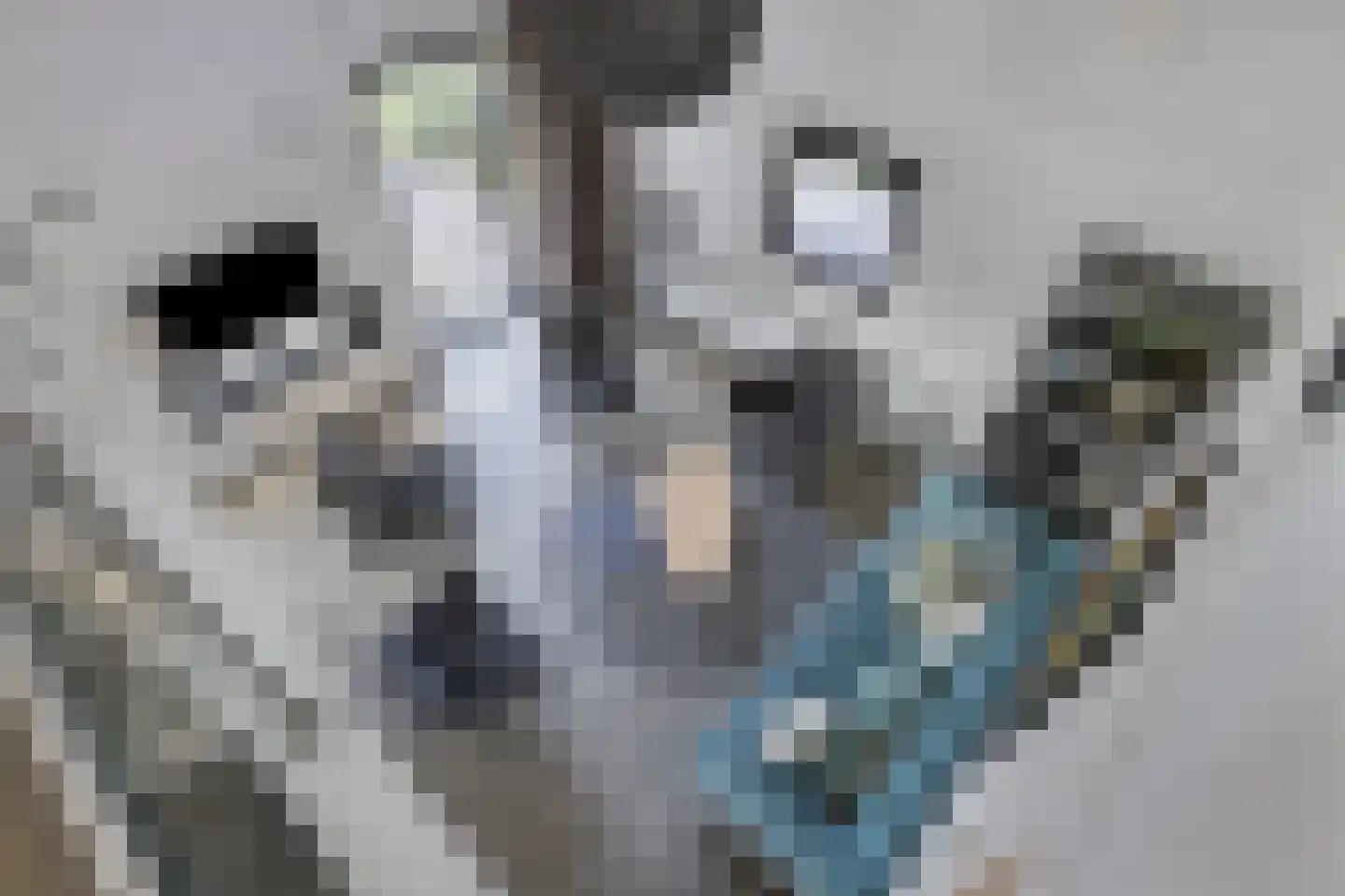 Vijverlaan 1 BG27 Otterlo thumbnail 10