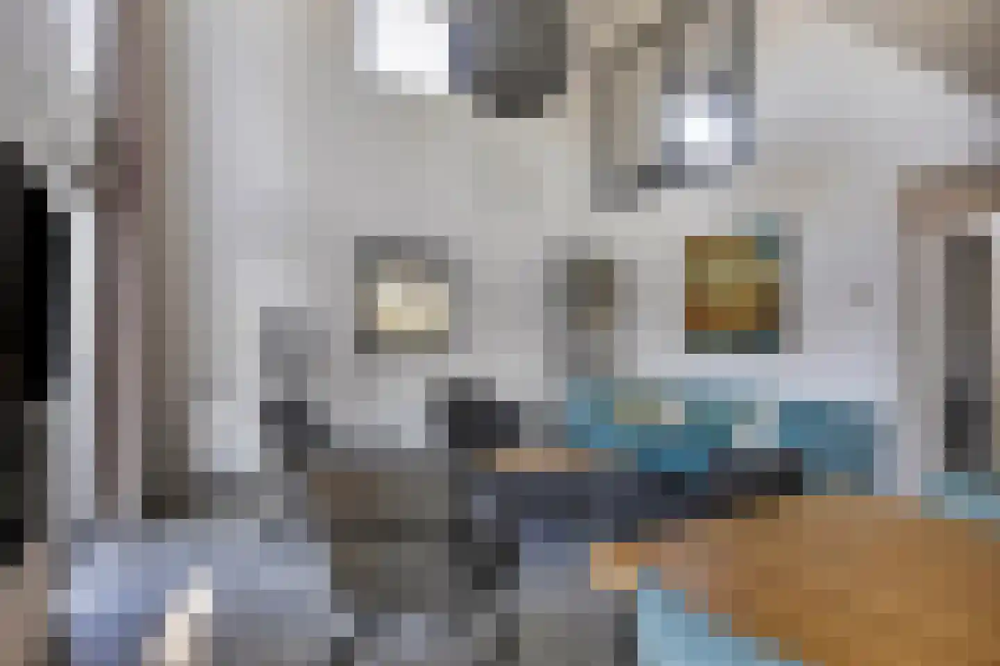 Vijverlaan 1 BG27 Otterlo thumbnail 11