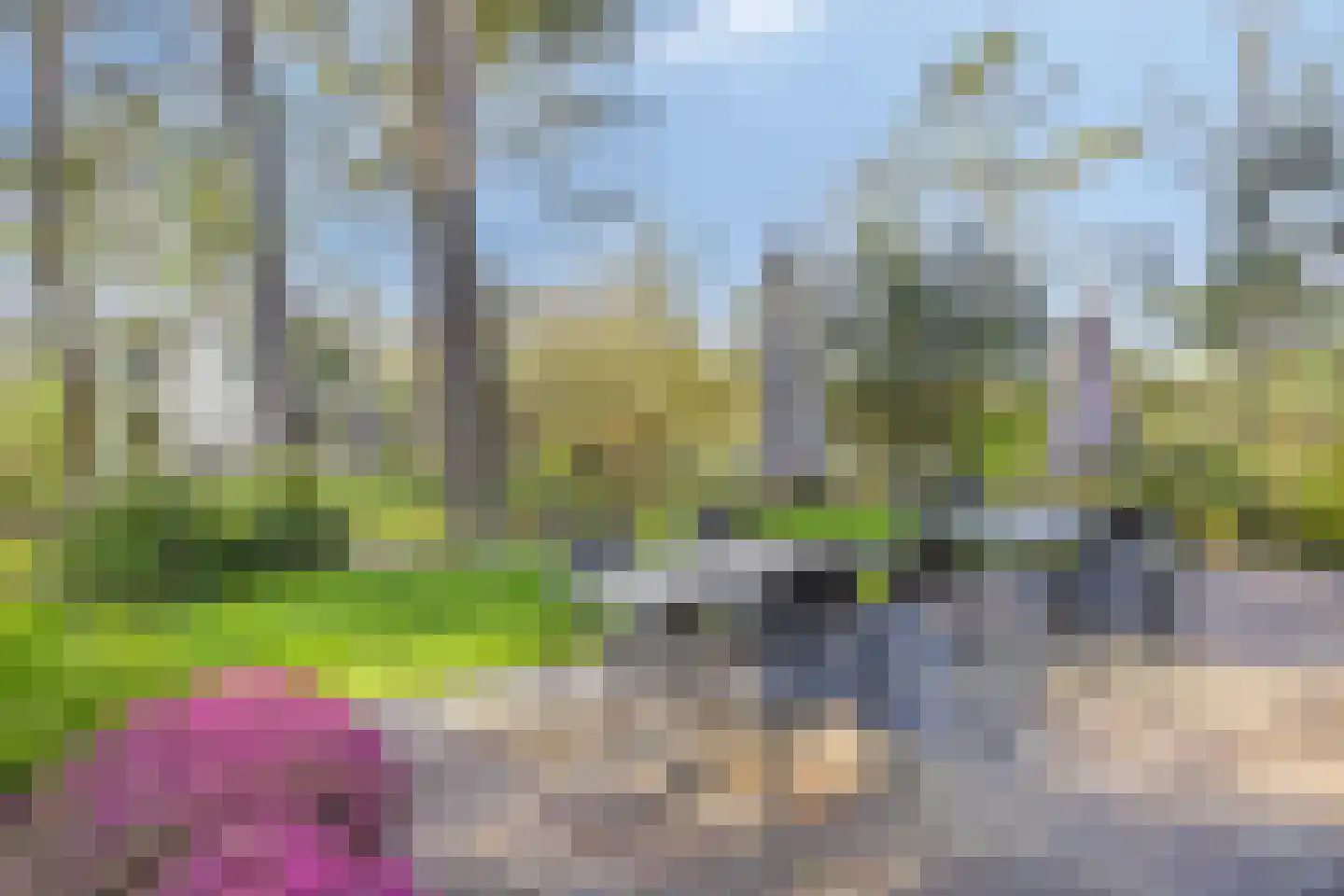 Vijverlaan 1 BG27 Otterlo thumbnail 24