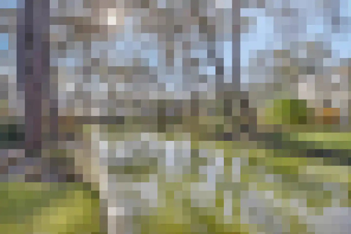 Vijverlaan 1 BG27 Otterlo thumbnail 28