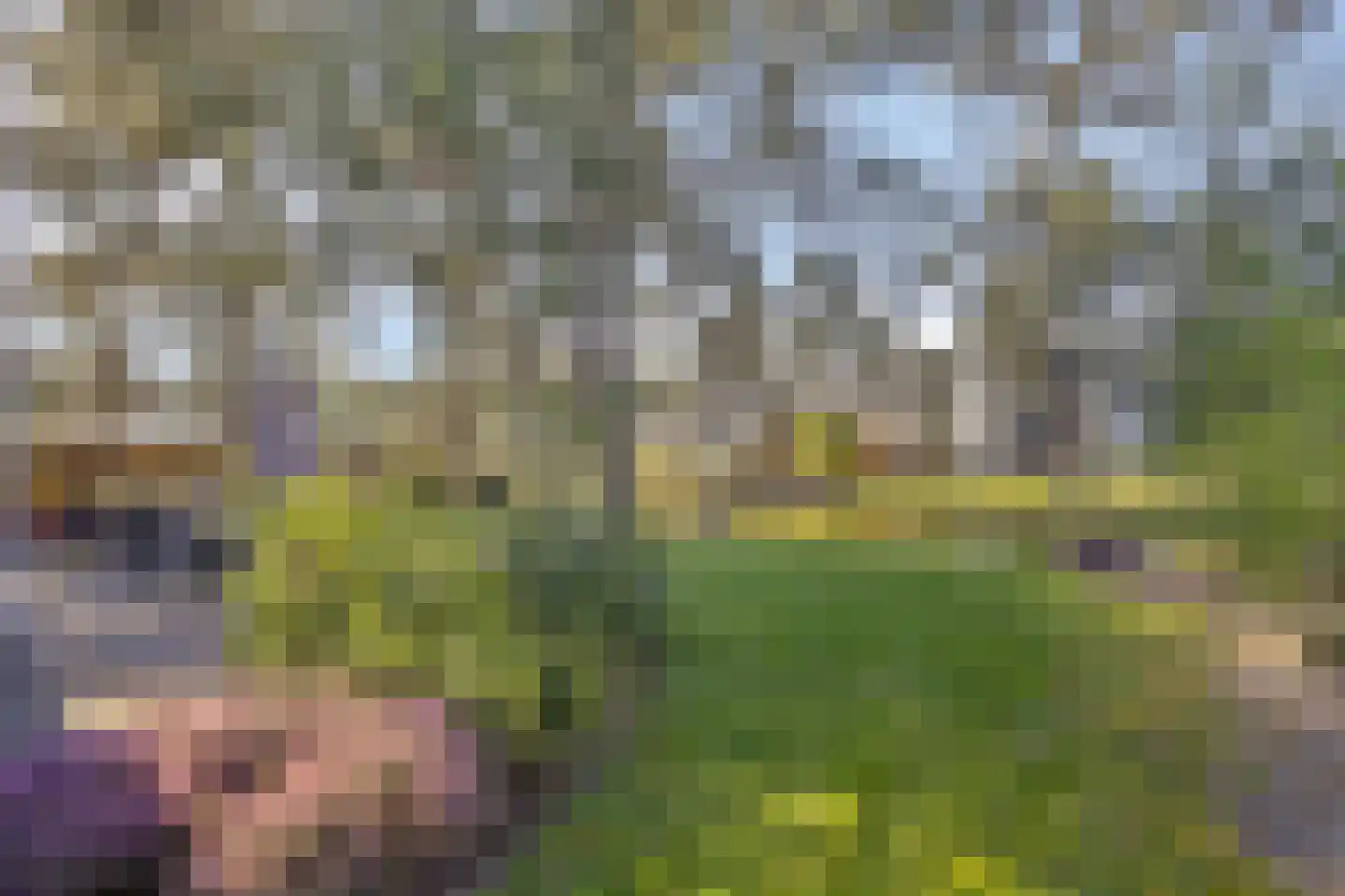 Vijverlaan 1 BG27 Otterlo thumbnail 31