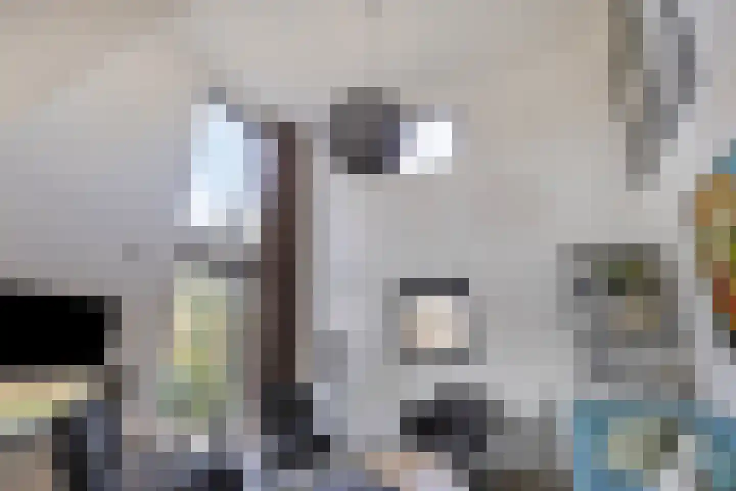 Vijverlaan 1 BG27 Otterlo thumbnail 8