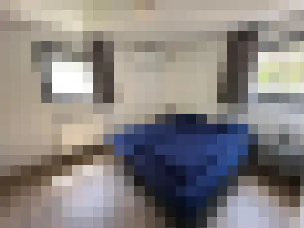 Vijverlaan 1 BG66 Otterlo thumbnail 12
