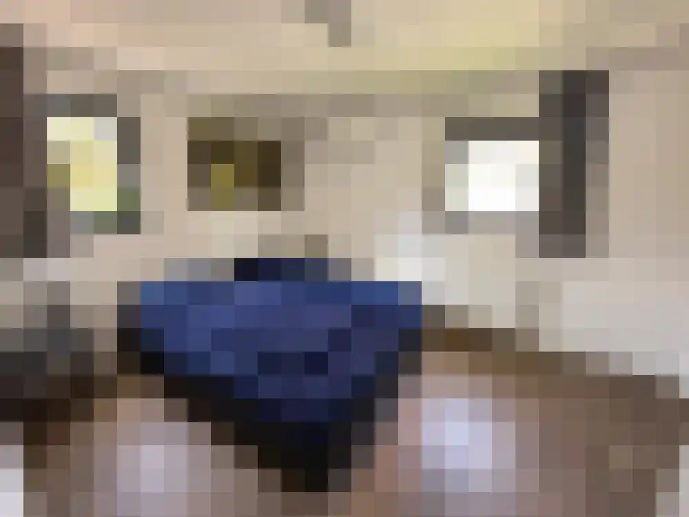 Vijverlaan 1 BG66 Otterlo thumbnail 13