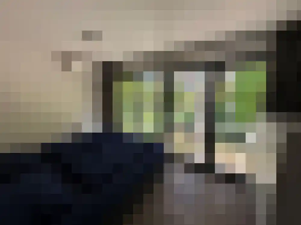 Vijverlaan 1 BG66 Otterlo thumbnail 14