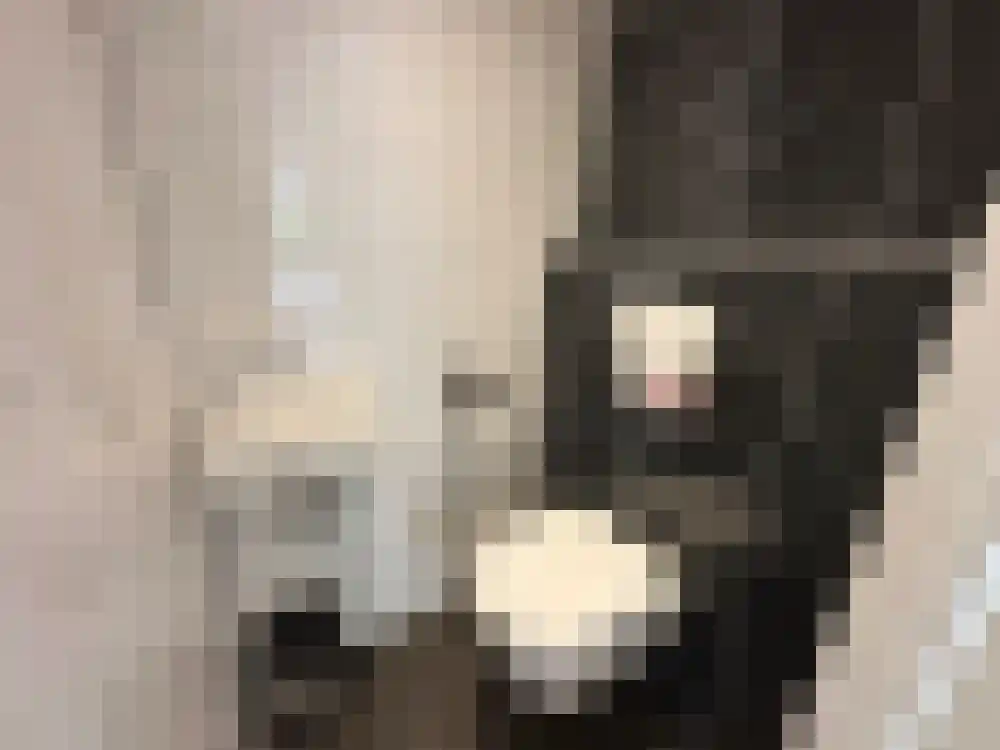Vijverlaan 1 BG66 Otterlo thumbnail 15