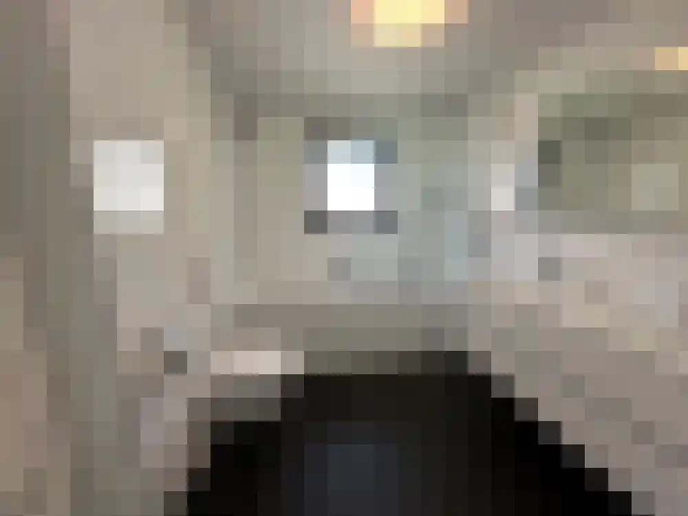 Vijverlaan 1 BG66 Otterlo thumbnail 17