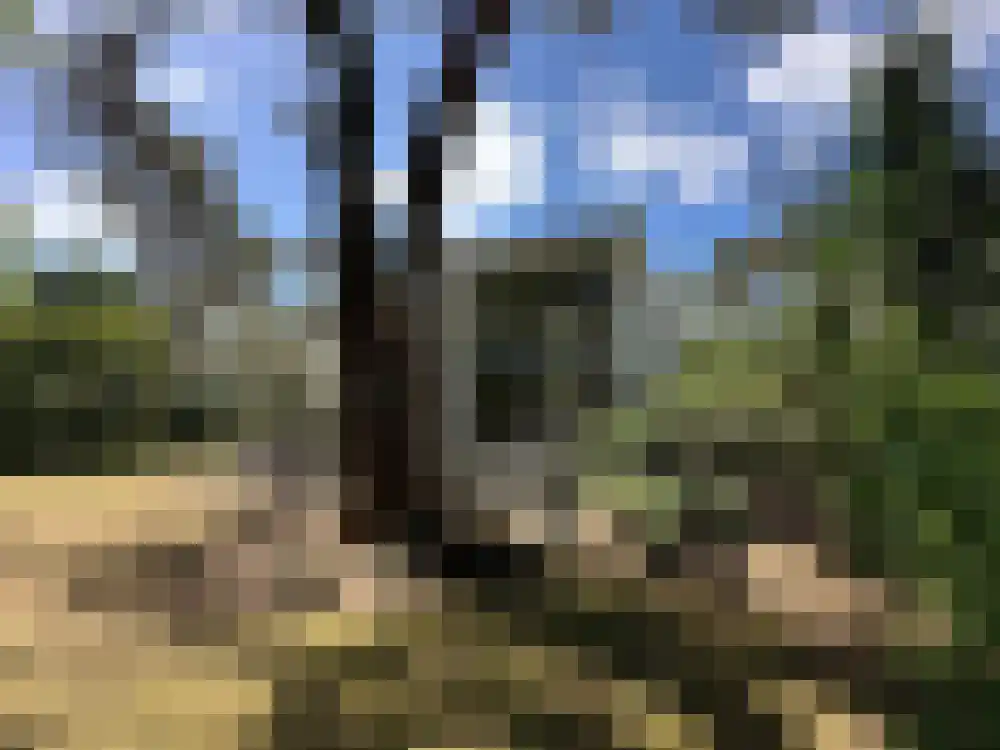Vijverlaan 1 BG66 Otterlo thumbnail 19