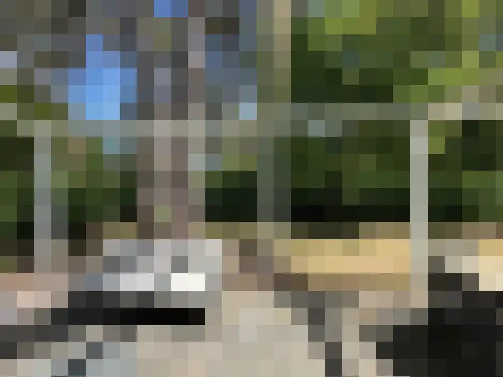 Vijverlaan 1 BG66 Otterlo thumbnail 21