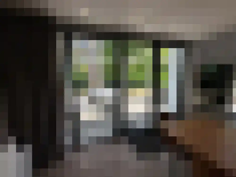 Vijverlaan 1 BG66 Otterlo thumbnail 7