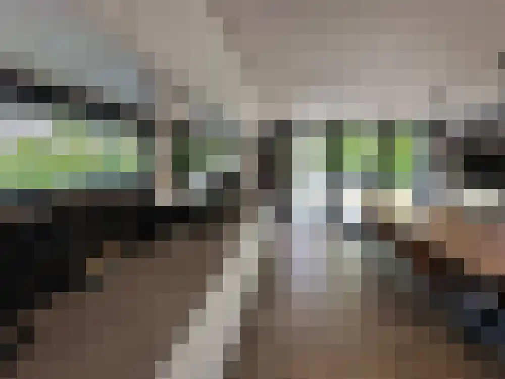 Vijverlaan 1 BG66 Otterlo thumbnail 8