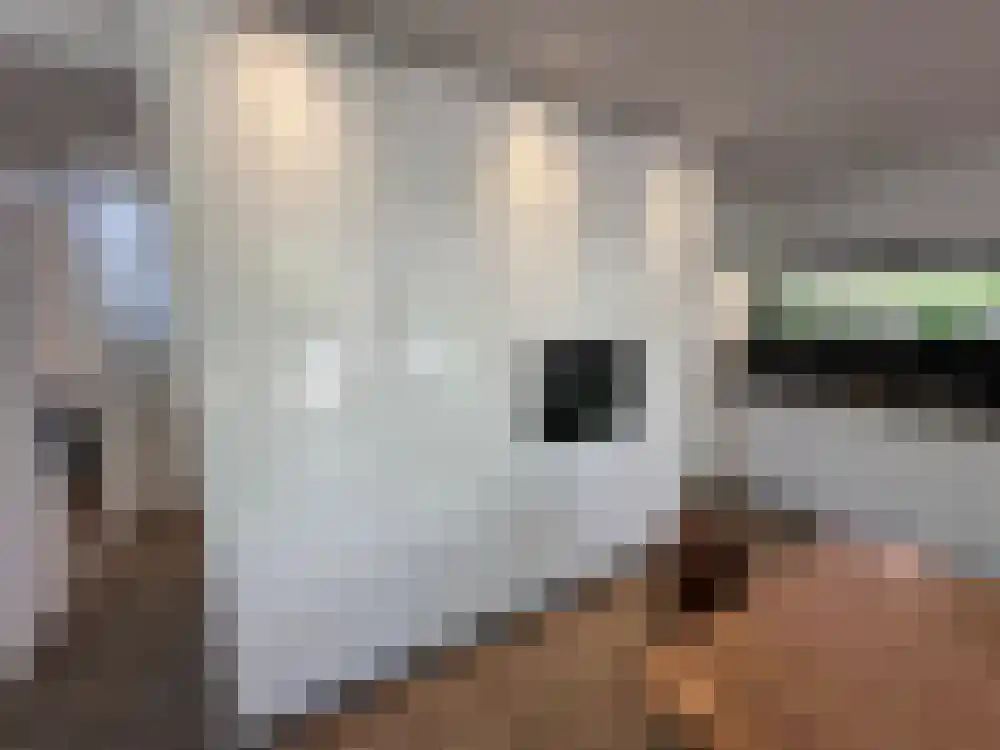 Vijverlaan 1 BG66 Otterlo thumbnail 9