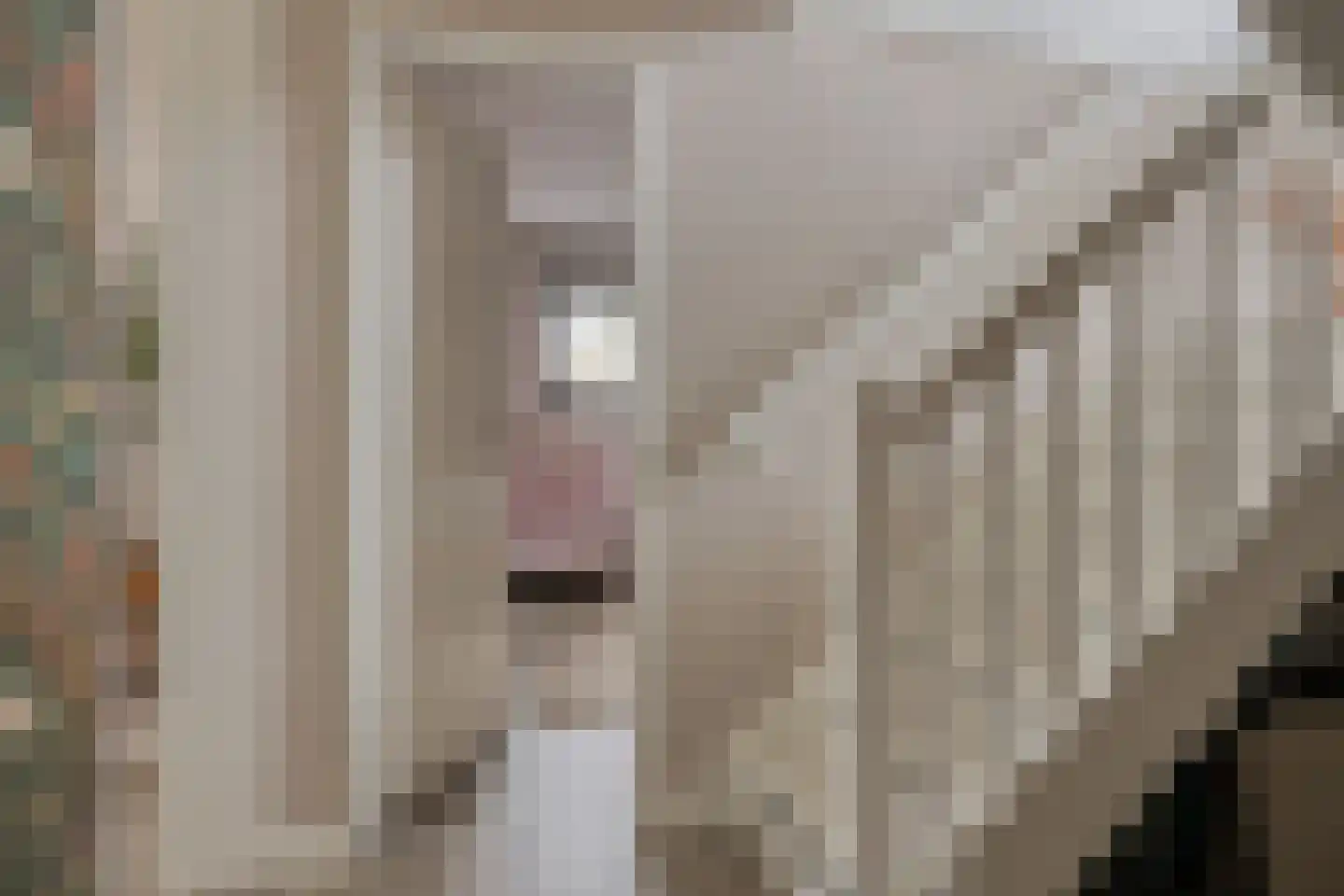 Vijverlaan 1 BG67 Otterlo thumbnail 13