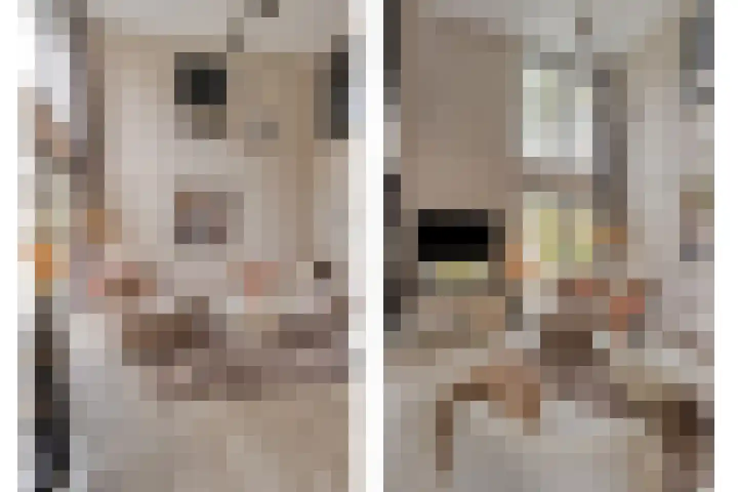 Vijverlaan 1 BG67 Otterlo thumbnail 16